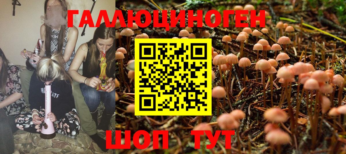 Екатеринбург  Псилоцибиновые грибы Magic Shrooms  Вход с VPN 